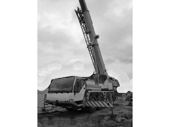 עגורן נייד LIEBHERR LTM 1060/2