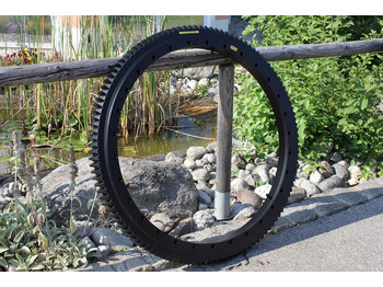 : תמונת כותרת עליונה