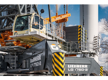 עגורן לכל שטח LIEBHERR