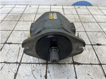 משאבה הידרולית עבור עגורן Rexroth Rexroth sigma hydro pump: תמונה 2