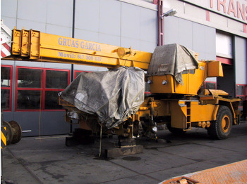 עגורן נייד TADANO RTF 30