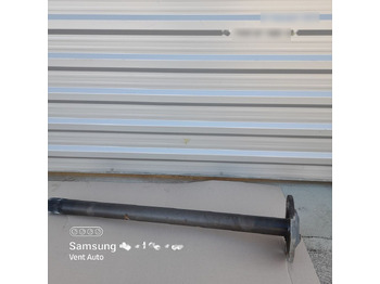 : תמונת כותרת עליונה