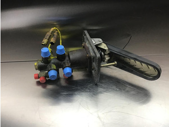 : תמונת כותרת עליונה