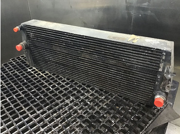 : תמונת כותרת עליונה