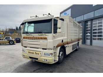 משאית סוסים DAF CF 410