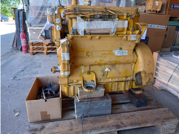 : תמונת כותרת עליונה