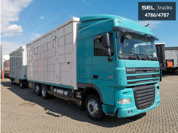 משאית להובלת בעלי חיים DAF XF 105.460  / Intarder / 4 Stock / KOMPLETT !: תמונה 4 משאית להובלת בעלי חיים DAF XF 105.460  / Intarder / 4 Stock / KOMPLETT !: תמונה 4