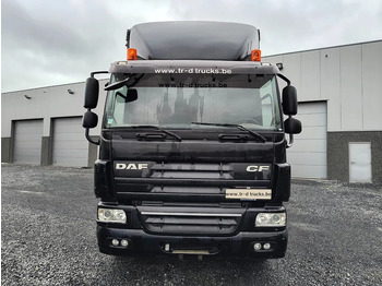 משאית וילונות צד DAF CF 75.310 RETARDER - D'HOLLANDIA 2500 KG - EURO 5: תמונה 2