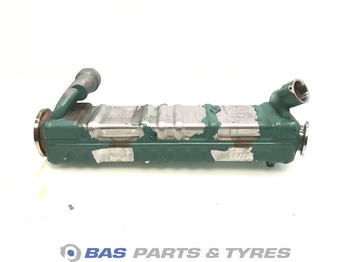 : תמונת כותרת עליונה