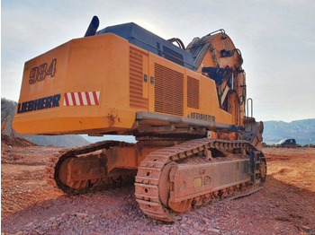 מחפר סורק Liebherr R 984C HD (125t): תמונה 3