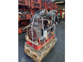 : תמונת כותרת עליונה