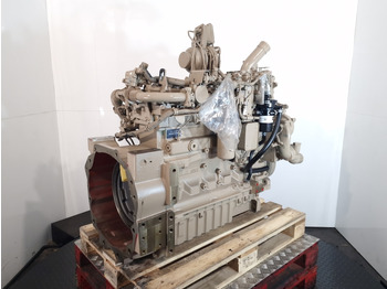 : תמונת כותרת עליונה