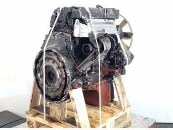 : תמונת כותרת עליונה