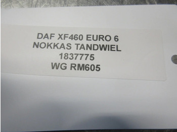 מנוע וחלקים עבור משאית DAF XF460 1837775 NOKKAS TANDWIEL EURO 6: תמונה 3