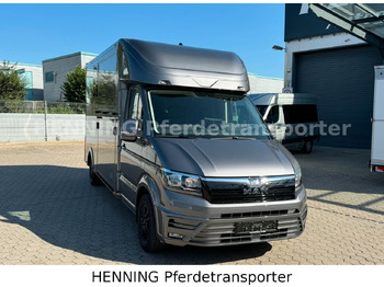 משאית להובלת בעלי חיים MAN TGE 3 - Sitzer *KLIMA PFERDEABTEIL*: תמונה 2 משאית להובלת בעלי חיים MAN TGE 3 - Sitzer *KLIMA PFERDEABTEIL*: תמונה 2