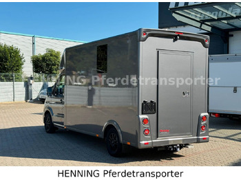 משאית להובלת בעלי חיים MAN TGE 3 - Sitzer *KLIMA PFERDEABTEIL*: תמונה 3 משאית להובלת בעלי חיים MAN TGE 3 - Sitzer *KLIMA PFERDEABTEIL*: תמונה 3