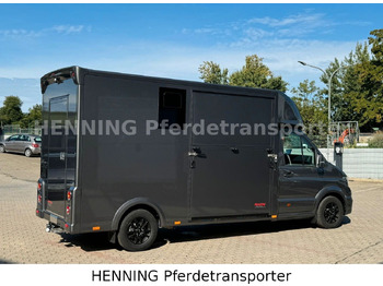 משאית להובלת בעלי חיים MAN TGE 3 - Sitzer *KLIMA PFERDEABTEIL*: תמונה 5 משאית להובלת בעלי חיים MAN TGE 3 - Sitzer *KLIMA PFERDEABTEIL*: תמונה 5