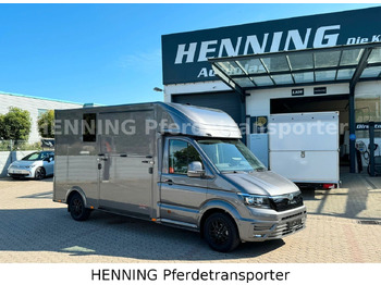 : תמונת כותרת עליונה