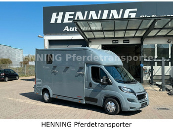 : תמונת כותרת עליונה