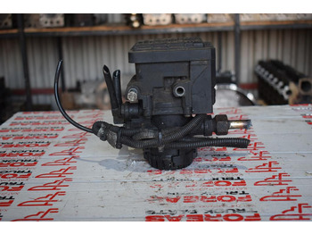 : תמונת כותרת עליונה