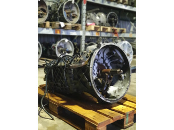 : תמונת כותרת עליונה