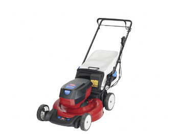 מכסחת גינה TORO