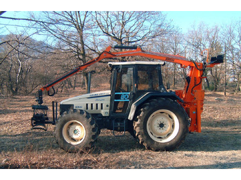 : תמונת כותרת עליונה