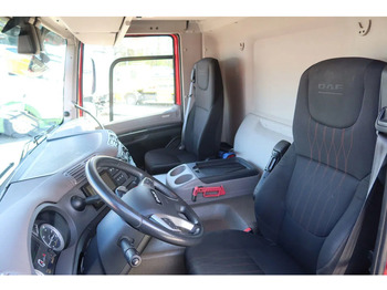 משאית קירור DAF CF 300 Koel/Vries Carrier iceland + Dhollandia 2500KG klep trenn wand: תמונה 5