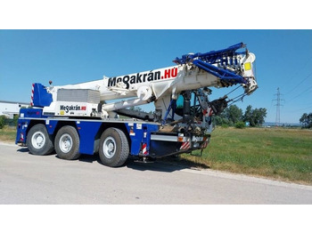 עגורן לכל שטח LIEBHERR LTC 1045-3.1