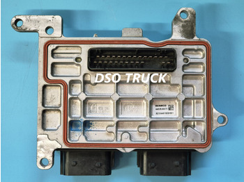 : תמונת כותרת עליונה