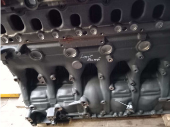 : תמונת כותרת עליונה