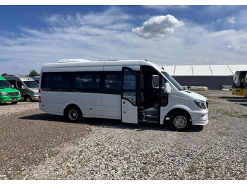 הַחכָּרָה  Mercedes-Benz Sprinter 519 Mercedes-Benz Sprinter 519: תמונה 3