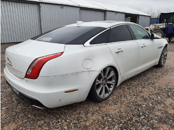 מכונית JAGUAR XJ SEDAN: תמונה 4