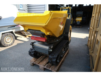 הַחכָּרָה 2024 Wacker Neuson DT12 Beltedumper kun gått 4 timer 2024 Wacker Neuson DT12 Beltedumper kun gått 4 timer: תמונה 3 הַחכָּרָה 2024 Wacker Neuson DT12 Beltedumper kun gått 4 timer 2024 Wacker Neuson DT12 Beltedumper kun gått 4 timer: תמונה 3