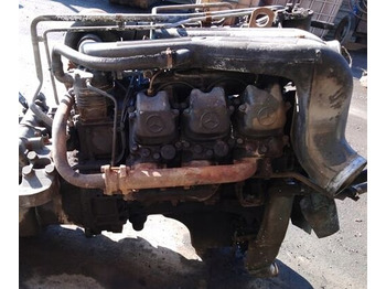 : תמונת כותרת עליונה