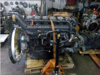 : תמונת כותרת עליונה