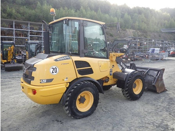 מעמיס גלגלים Volvo L 25 F: תמונה 4