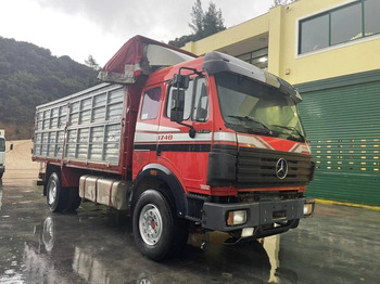 מזהיר MERCEDES-BENZ