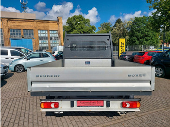 כלי רכב מסחרי במיטה שטוחה, כלי רכב מסחרי קומבי Peugeot Boxer Pritsche Doka. 335 L3 BlueHDi 130 Klima: תמונה 5
