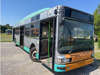 הַחכָּרָה  Irisbus 491E Irisbus 491E: תמונה 1