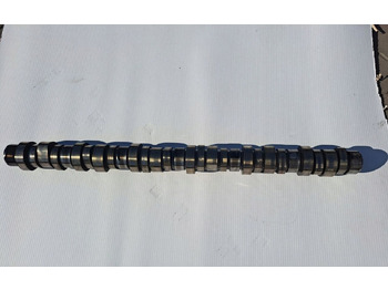 גל זיזים RENAULT D