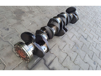 : תמונת כותרת עליונה