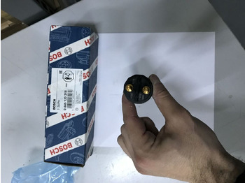 : תמונת כותרת עליונה