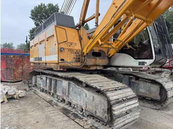 עגורן זוחל LIEBHERR