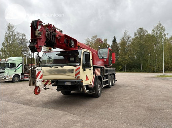 עגורן לכל שטח TEREX
