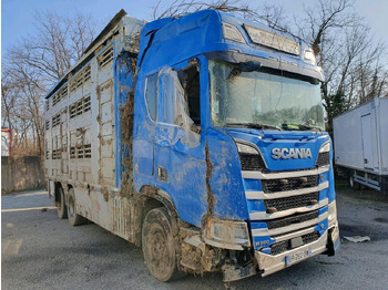 משאית להובלת בעלי חיים SCANIA R 580