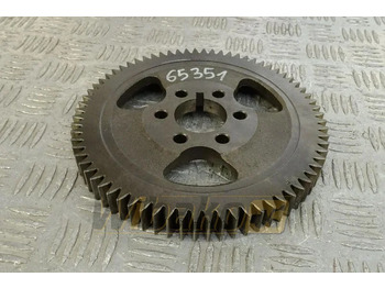 : תמונת כותרת עליונה