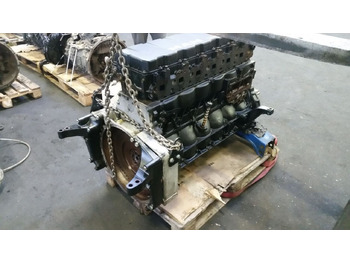 : תמונת כותרת עליונה