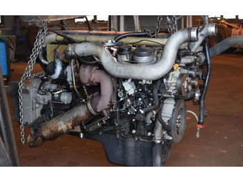 : תמונת כותרת עליונה