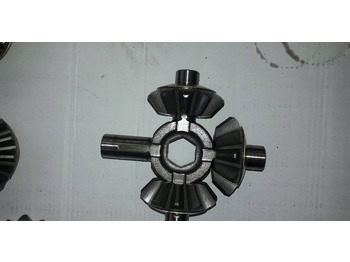 : תמונת כותרת עליונה